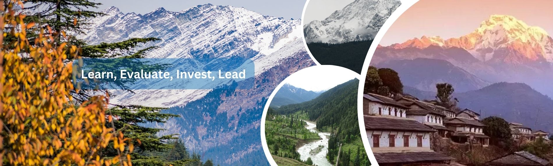 Learn, Evaluate, Invest, Lead