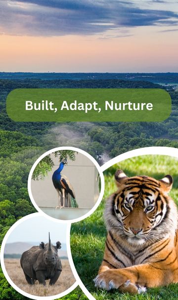 Built, Adapt, Nurture